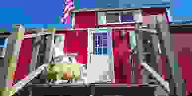 Gorton Chimney & Fireplace - Chimney Cleaning, Repair | Gorton Chimney